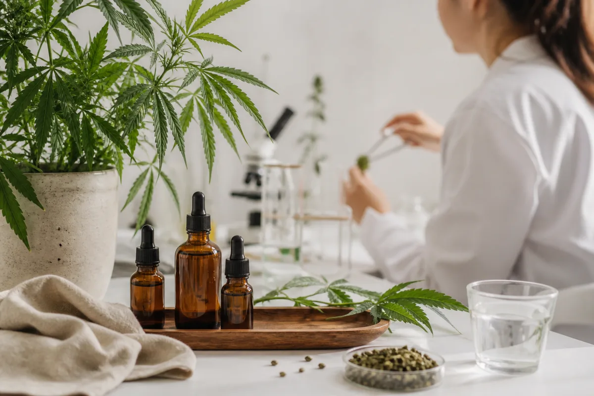 Chercheuse analysant des échantillons de chanvre en laboratoire